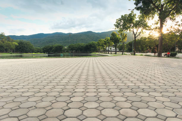 Best Local Driveway Pavers  in Romeo, MI